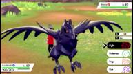 Pokemon_Sword_Shield_Screenshot_20190605_16.jpg