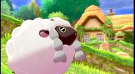 Pokemon_Sword_Shield_Screenshot_20190605_15.jpg
