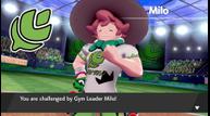 Pokemon_Sword_Shield_Screenshot_20190605_32.jpg