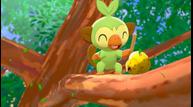 Pokemon_Sword_Shield_Screenshot_20190605_09.jpg