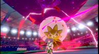 Pokemon_Sword_Shield_Screenshot_20190605_33.jpg