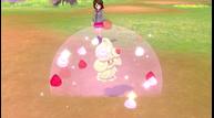 Pokemon-Sword-Shield_20190708_09.jpg