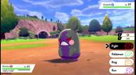 Pokemon_Sword_Shield_20190807_12.jpg