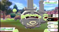 Pokemon_Sword_Shield_20190807_02.jpg