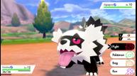Pokemon_Sword_Shield_20190807_05.jpg