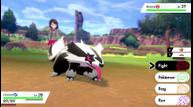 Pokemon_Sword_Shield_20190807_07.jpg
