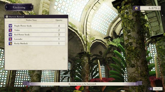 fire_emblem_three_houses_gardening_combos_garden_greenhouse.jpg