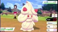 Pokemon-Sword-Shield_20190904_08.jpg