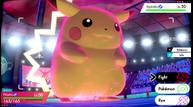 Pokemon-Sword-Shield_20191016_03.jpg