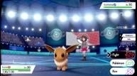 Pokemon-Sword-Shield_20191016_12.jpg