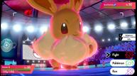 Pokemon-Sword-Shield_20191016_13.jpg