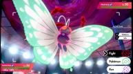 Pokemon-Sword-Shield_20191016_24.jpg