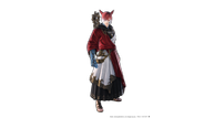 FFXIV_PUB_Patch5.1_05.png