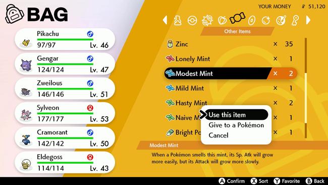 Pokemon_Sword_Shield_mint_item.jpg