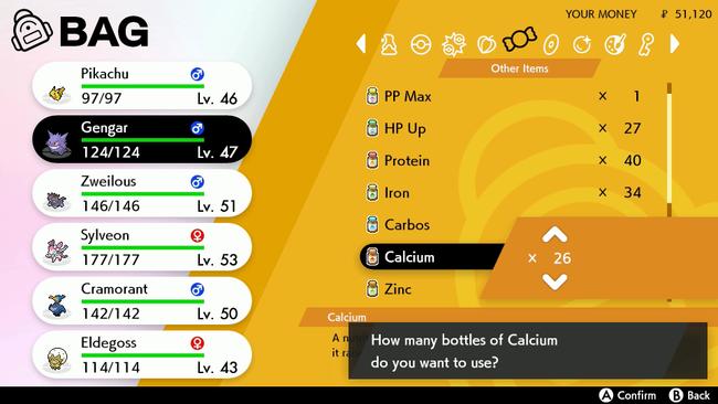 Pokemon_Sword_Shield_specialitems.jpg