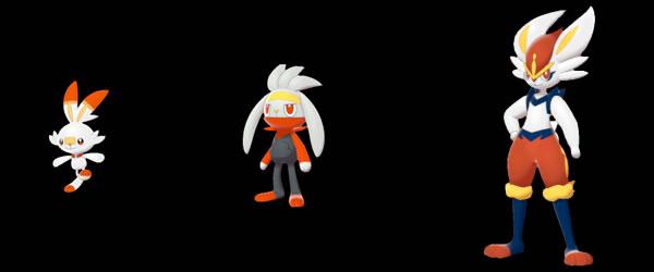 pokemon_sword_shield_starters_scorbunny_evolutions.jpg