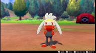 Pokemon_Sword_Shield_11272019_16.jpg