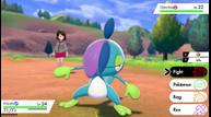 Pokemon_Sword_Shield_11272019_20.jpg