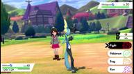Pokemon_Sword_Shield_11272019_22.jpg