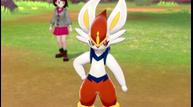Pokemon-Sword-Shield_01092020_08.jpg