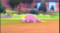Pokemon-Sword-Shield_01092020_13.jpg