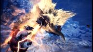 Monster-Hunter-World-Iceborne_20200111_02.jpg