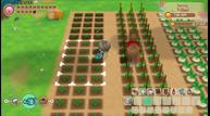 Story-of-Seasons_Friends-of-Mineral-Town_20200317_01.jpg