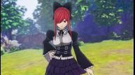 FairyTail_bonus_Erza_2.jpg