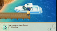 Story-of-Seasons-Friends-of-Mineral-Town_20200327_14.png