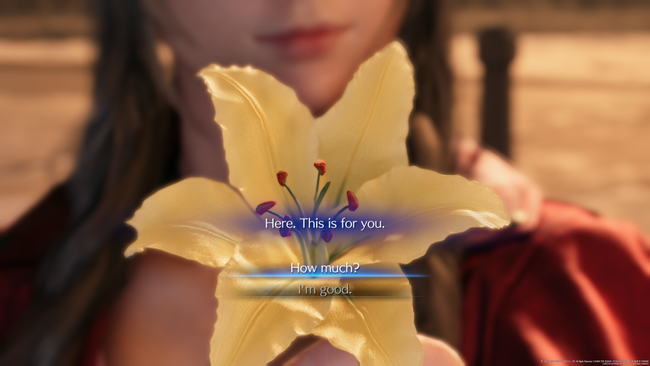 ff7_remake_aerith_flower_choice.png