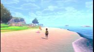 Pokemon-Sword-Shield_20200603_01.jpg