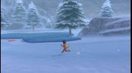 Pokemon-Sword-Shield_20200603_33.jpg