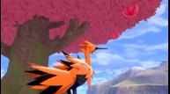 Pokemon-Sword-Shield_20200603_49.jpg