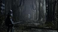 Demons-Souls_20200611_05.jpg