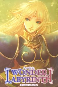 Record of Lodoss War: Deedlit in Wonder Labyrinth boxart
