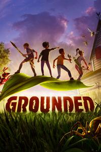 Grounded boxart