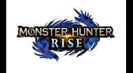 MH_RISE_logo_RGB.jpg