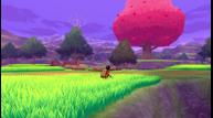 Pokemon-Sword-Shield_The-Crown-Tundra_20200929_11.jpg