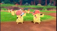 Pokemon-Sword-Shield_The-Crown-Tundra_20200929_32.jpg