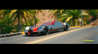 Cyberpunk2077_Rayfield.png