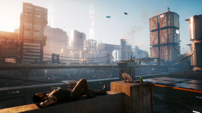 Cyberpunk-2077_20201119_18.png