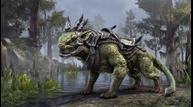 Elder-Scrolls-Online-Blackwood_20210126_05.jpg