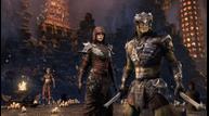 Elder-Scrolls-Online-Blackwood_20210126_07.jpg