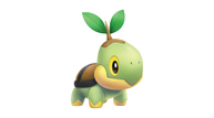 Turtwig.png