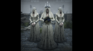 Black-Legend_White-Wives.png