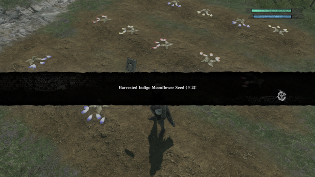 nier_replicant_gardening_flowers_lunar_tear_legendary_guide.png