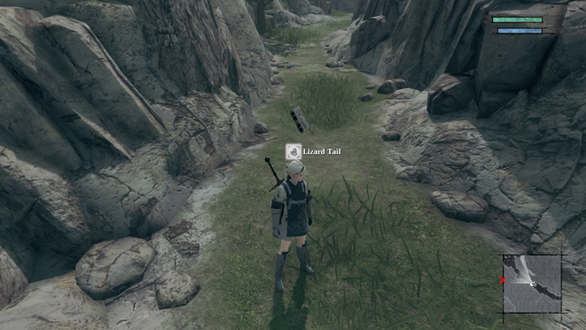 nier_replicant_lizard_tail_lizards.png