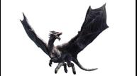 Monster-Hunter-R-se_Kushala-Daora.jpg